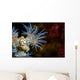 Beautiful Tiger Anemone Colony Close-up Wall Decal