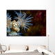 Beautiful Tiger Anemone Colony Close-up Wall Decal