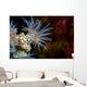 Beautiful Tiger Anemone Colony Close-up Wall Decal