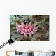 Juvenile Crown-of-thorns Starfish Cebu Wall Decal