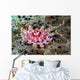 Juvenile Crown-of-thorns Starfish Cebu Wall Decal