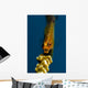 Yawning Wire Coral Goby Wall Decal