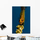 Yawning Wire Coral Goby Wall Decal