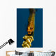 Yawning Wire Coral Goby Wall Decal
