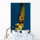 Yawning Wire Coral Goby Wall Decal