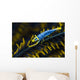 Crinoid Shrimp Cebu Philippines Wall Decal