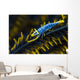 Crinoid Shrimp Cebu Philippines Wall Decal