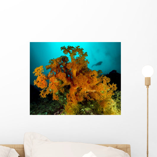 Soft Coral with Diver Wall Decal