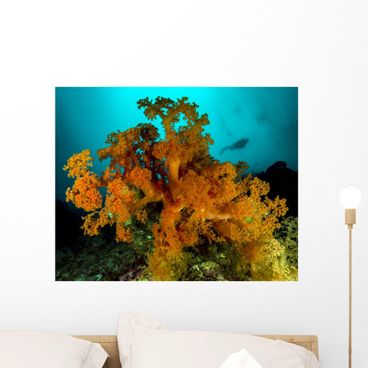 Soft Coral with Diver Wall Decal