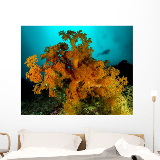Soft Coral with Diver Wall Decal