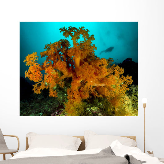 Soft Coral with Diver Wall Decal