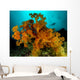 Soft Coral with Diver Wall Decal