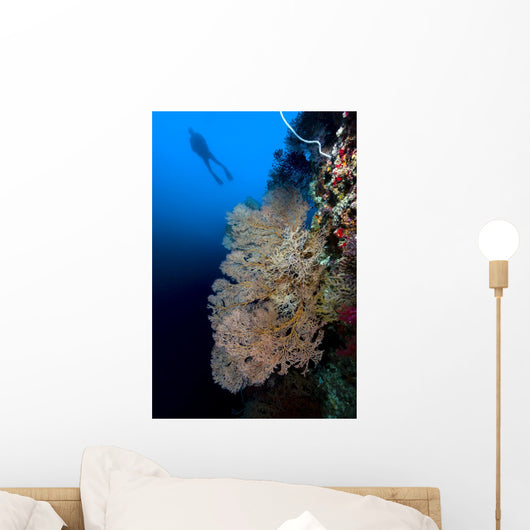 Sea Fan with Diver Wall Decal