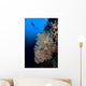 Sea Fan with Diver Wall Decal