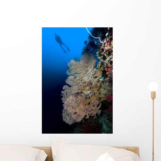 Sea Fan with Diver Wall Decal