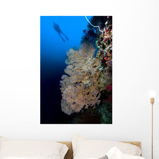 Sea Fan with Diver Wall Decal