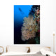 Sea Fan with Diver Wall Decal