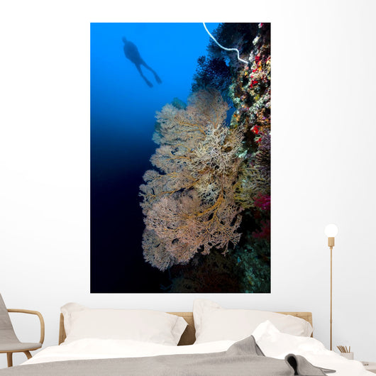 Sea Fan with Diver Wall Decal