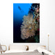 Sea Fan with Diver Wall Decal