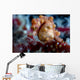 Pregnant Pygmy Seahorse Cebu Horizontal Wall Decal