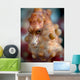 Pregnant Pygmy Seahorse Cebu Wall Decal