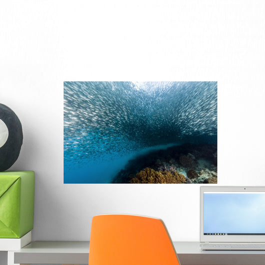 School Silversides Cebu Philippines Wall Decal