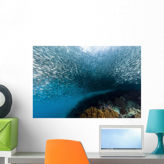 School Silversides Cebu Philippines Wall Decal