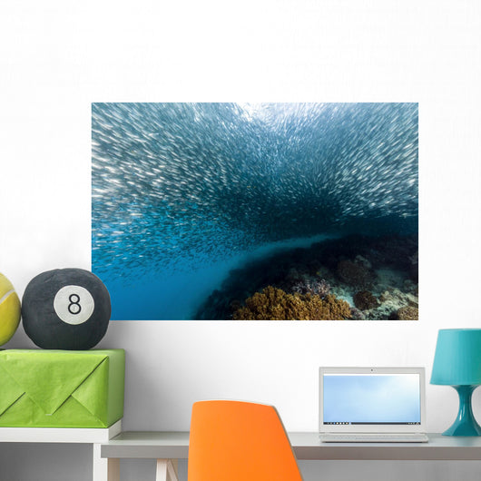 School Silversides Cebu Philippines Wall Decal