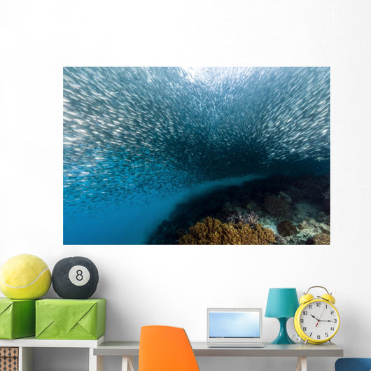 School Silversides Cebu Philippines Wall Decal