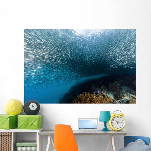 School Silversides Cebu Philippines Wall Decal