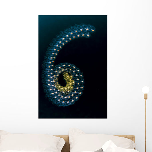 Pelagic Tunicates Cebu Philippines Wall Decal