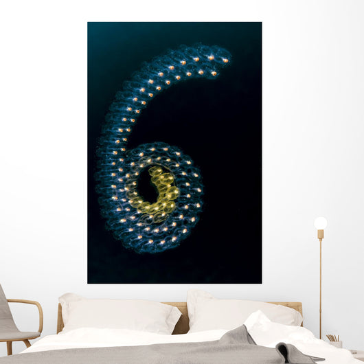 Pelagic Tunicates Cebu Philippines Wall Decal