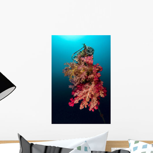 Buoy Encrusted Soft Coral Wall Decal