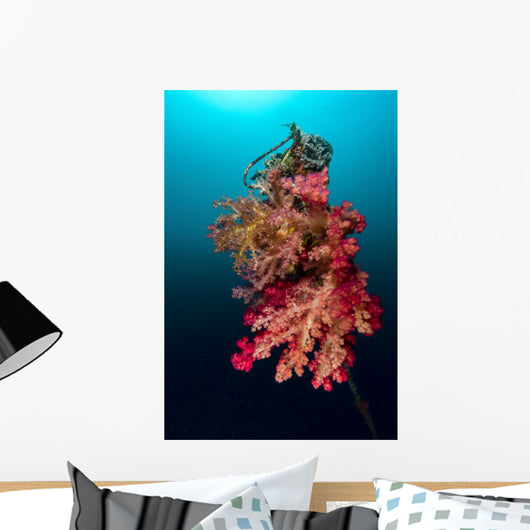 Buoy Encrusted Soft Coral Wall Decal