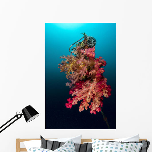 Buoy Encrusted Soft Coral Wall Decal