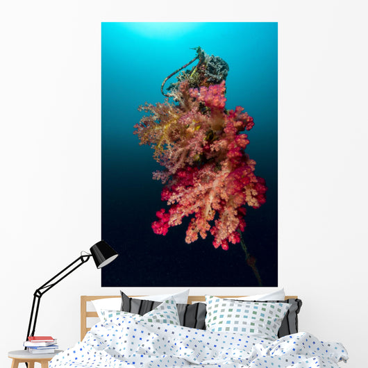 Buoy Encrusted Soft Coral Wall Decal