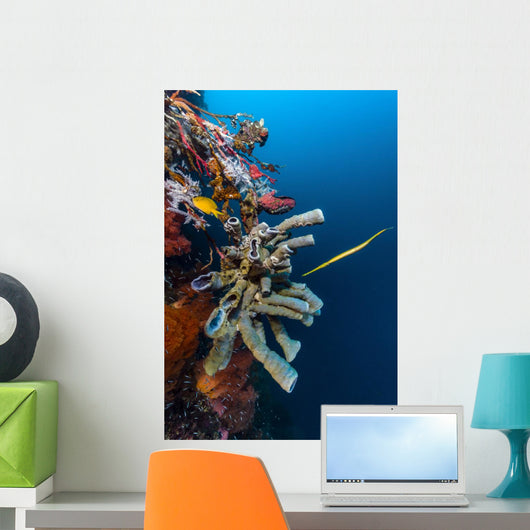 Golden Phase Trumpetfish with Wall Decal