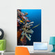 Golden Phase Trumpetfish with Wall Decal