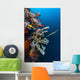 Golden Phase Trumpetfish with Wall Decal