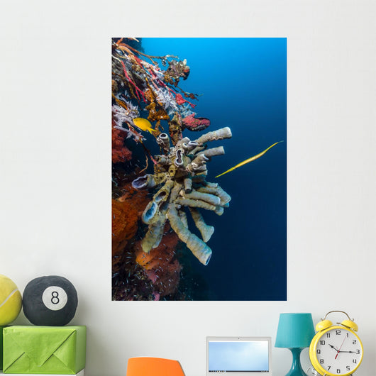 Golden Phase Trumpetfish with Wall Decal