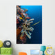 Golden Phase Trumpetfish with Wall Decal
