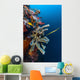 Golden Phase Trumpetfish with Wall Decal