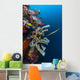 Golden Phase Trumpetfish with Wall Decal