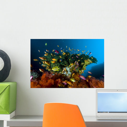 Reef Scene with Anthias Wall Decal
