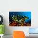 Reef Scene with Anthias Wall Decal