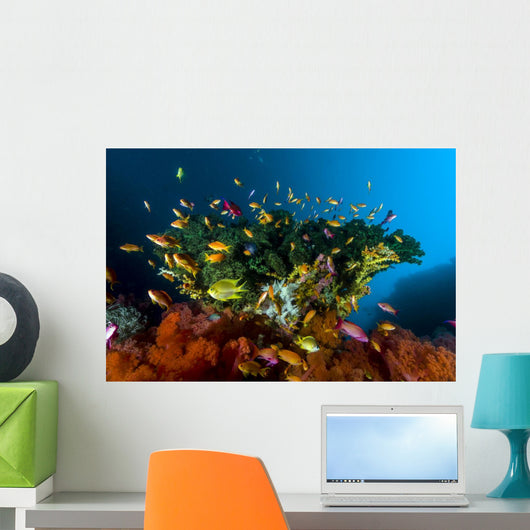 Reef Scene with Anthias Wall Decal