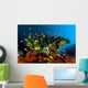 Reef Scene with Anthias Wall Decal