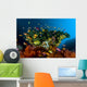 Reef Scene with Anthias Wall Decal