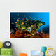 Reef Scene with Anthias Wall Decal