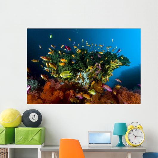 Reef Scene with Anthias Wall Decal